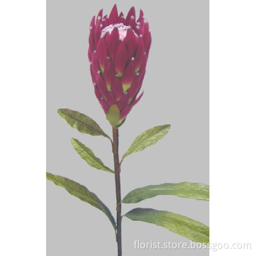 37"Giant Protea (Micro Pitch)